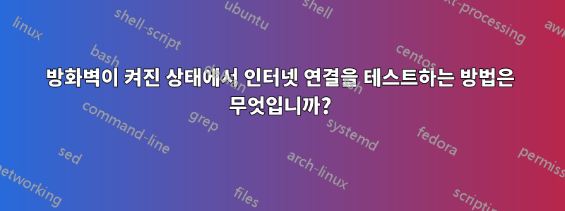 방화벽이 켜진 상태에서 인터넷 연결을 테스트하는 방법은 무엇입니까?