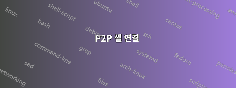 P2P 셸 연결