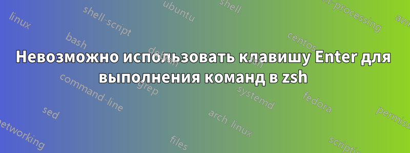 Невозможно использовать клавишу Enter для выполнения команд в zsh