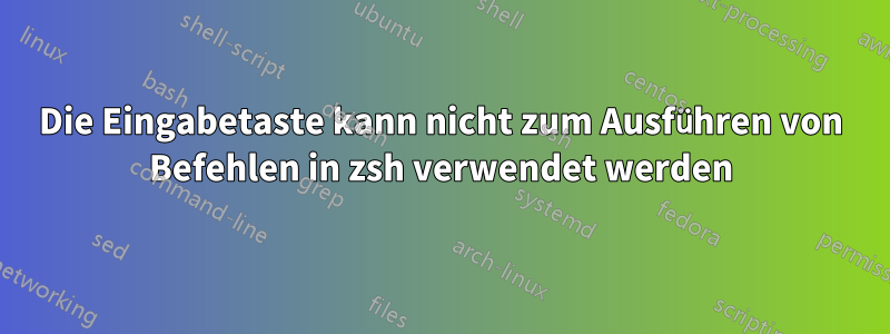 Die Eingabetaste kann nicht zum Ausführen von Befehlen in zsh verwendet werden