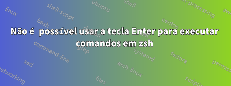 Não é possível usar a tecla Enter para executar comandos em zsh
