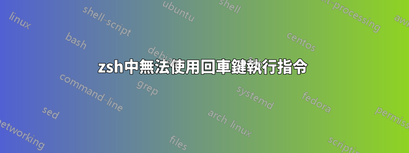 zsh中無法使用回車鍵執行指令