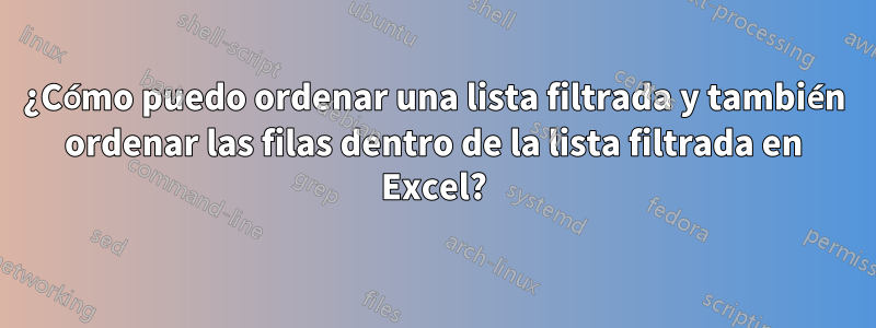 ¿Cómo puedo ordenar una lista filtrada y también ordenar las filas dentro de la lista filtrada en Excel?