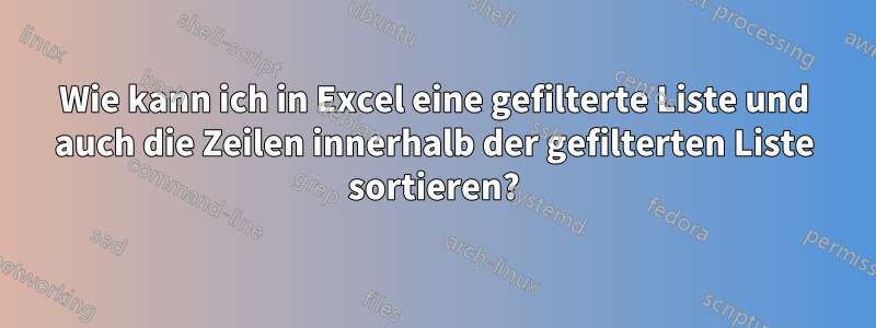 Wie kann ich in Excel eine gefilterte Liste und auch die Zeilen innerhalb der gefilterten Liste sortieren?