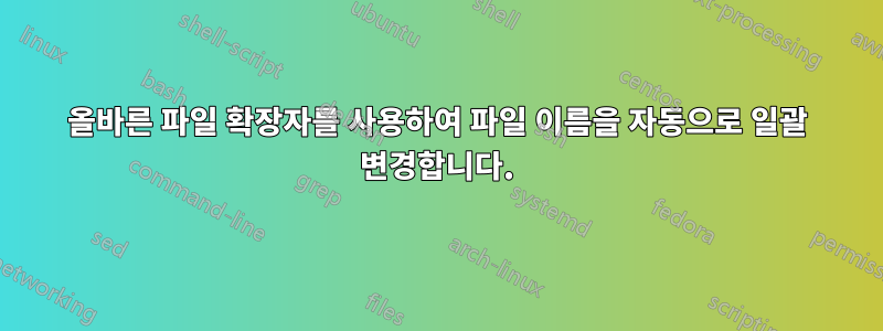 올바른 파일 확장자를 사용하여 파일 이름을 자동으로 일괄 변경합니다.