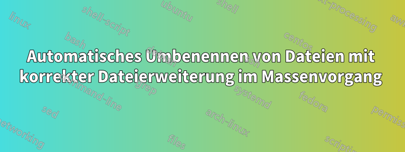 Automatisches Umbenennen von Dateien mit korrekter Dateierweiterung im Massenvorgang