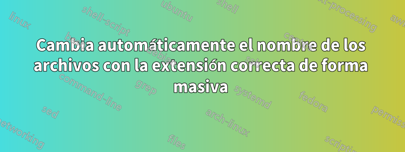 Cambia automáticamente el nombre de los archivos con la extensión correcta de forma masiva