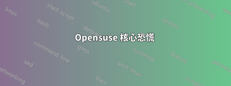 Opensuse 核心恐慌