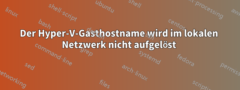 Der Hyper-V-Gasthostname wird im lokalen Netzwerk nicht aufgelöst