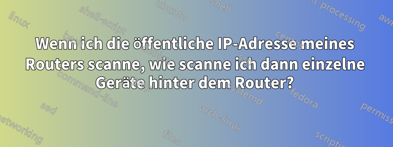 Wenn ich die öffentliche IP-Adresse meines Routers scanne, wie scanne ich dann einzelne Geräte hinter dem Router?