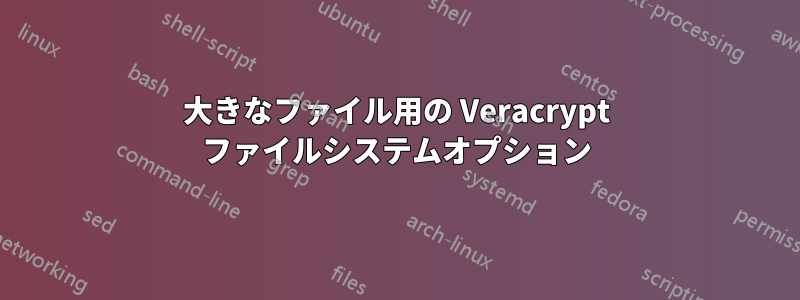 大きなファイル用の Veracrypt ファイルシステムオプション