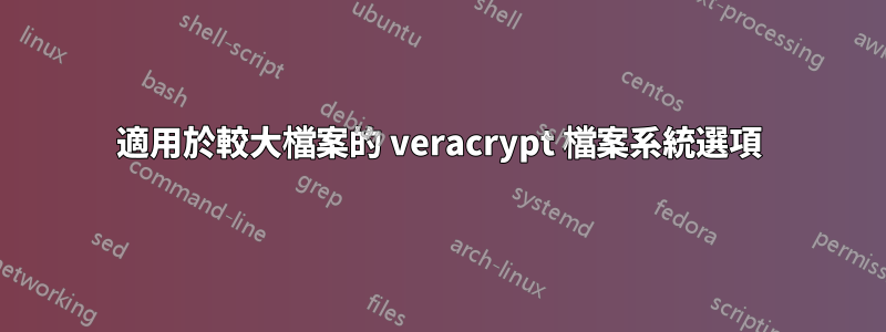 適用於較大檔案的 veracrypt 檔案系統選項