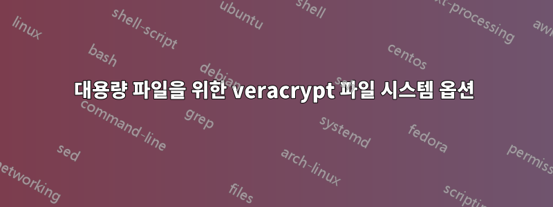 대용량 파일을 위한 veracrypt 파일 시스템 옵션