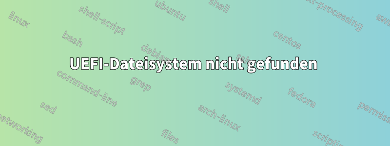 UEFI-Dateisystem nicht gefunden