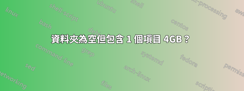 資料夾為空但包含 1 個項目 4GB？