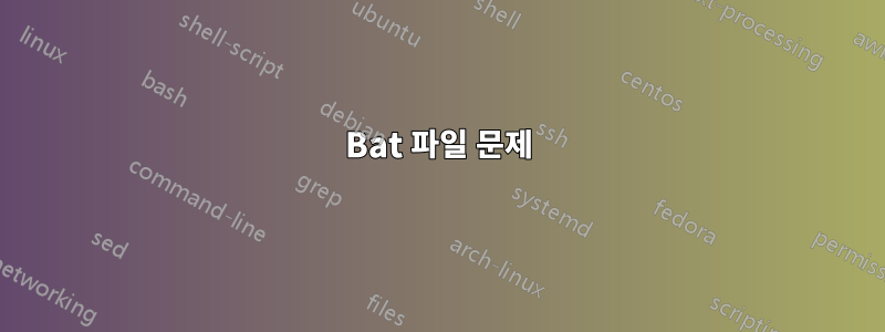 Bat 파일 문제