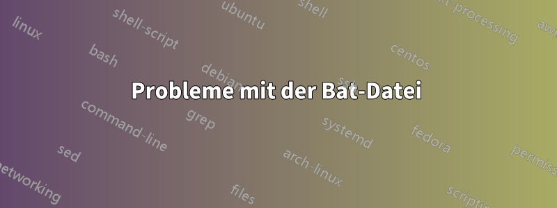 Probleme mit der Bat-Datei