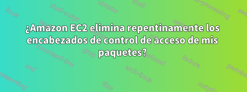 ¿Amazon EC2 elimina repentinamente los encabezados de control de acceso de mis paquetes?