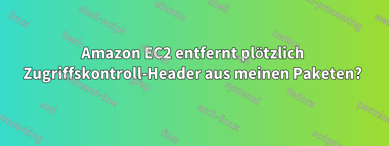 Amazon EC2 entfernt plötzlich Zugriffskontroll-Header aus meinen Paketen?