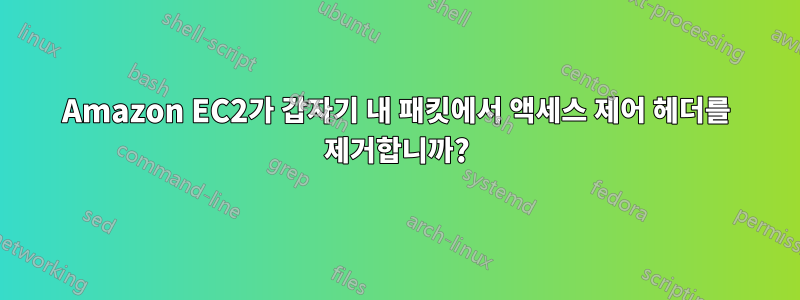 Amazon EC2가 갑자기 내 패킷에서 액세스 제어 헤더를 제거합니까?