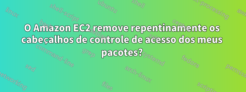 O Amazon EC2 remove repentinamente os cabeçalhos de controle de acesso dos meus pacotes?