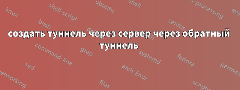 создать туннель через сервер через обратный туннель