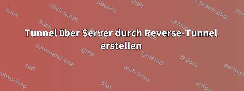 Tunnel über Server durch Reverse-Tunnel erstellen