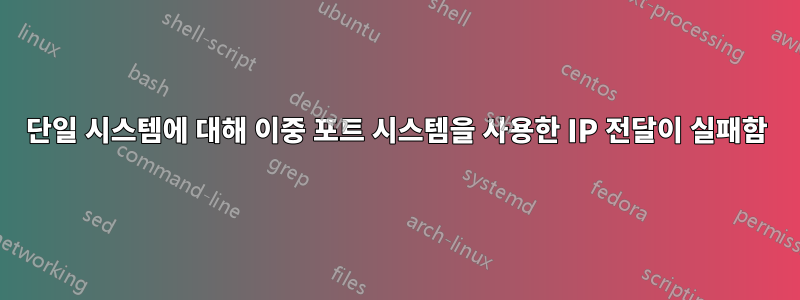 단일 시스템에 대해 이중 포트 시스템을 사용한 IP 전달이 실패함