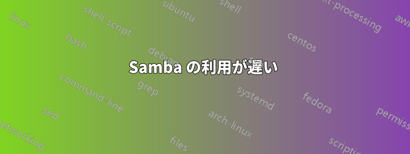 Samba の利用が遅い