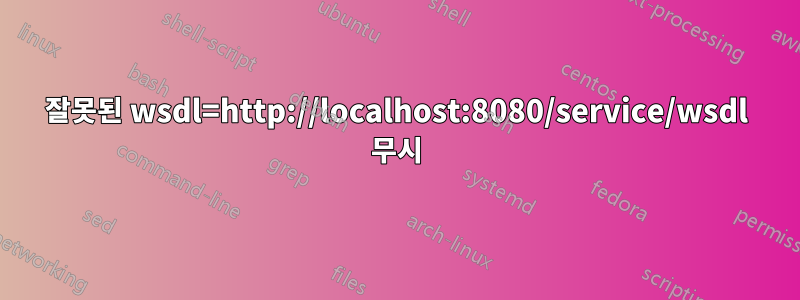 잘못된 wsdl=http://localhost:8080/service/wsdl 무시