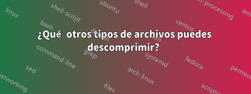 ¿Qué otros tipos de archivos puedes descomprimir? 