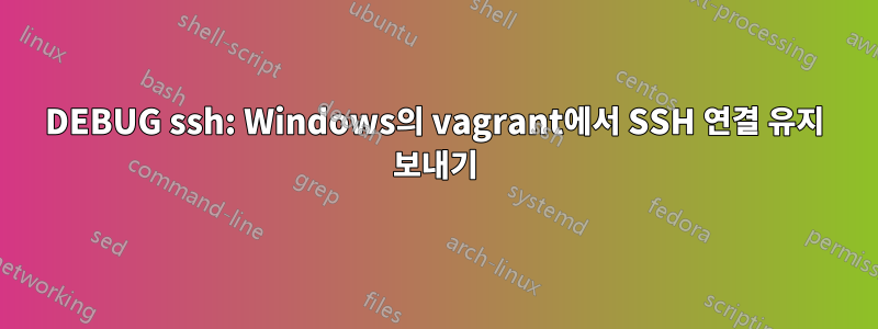 DEBUG ssh: Windows의 vagrant에서 SSH 연결 유지 보내기