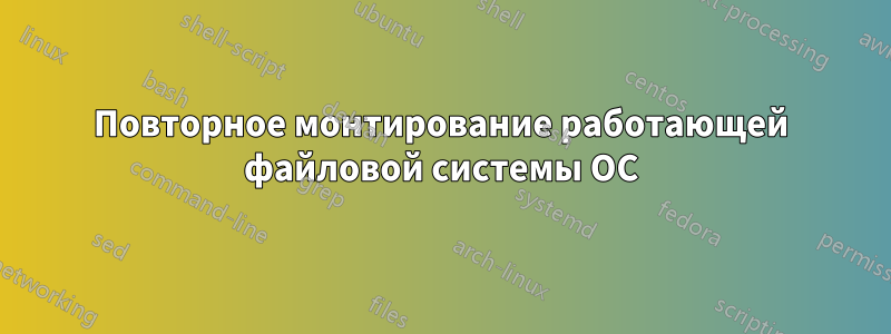 Повторное монтирование работающей файловой системы ОС