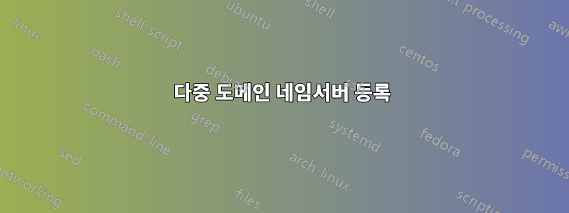 다중 도메인 네임서버 등록