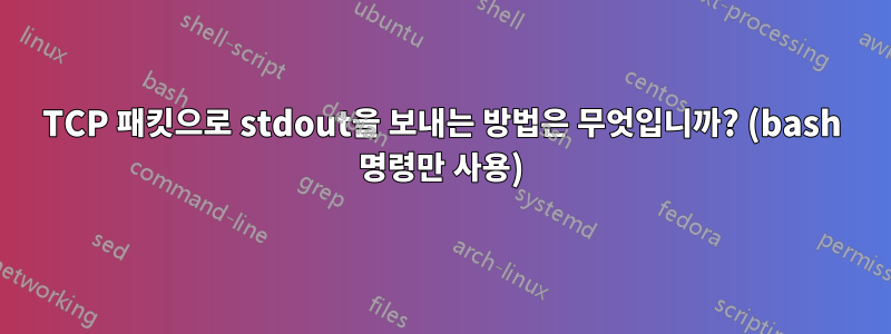 TCP 패킷으로 stdout을 보내는 방법은 무엇입니까? (bash 명령만 사용)