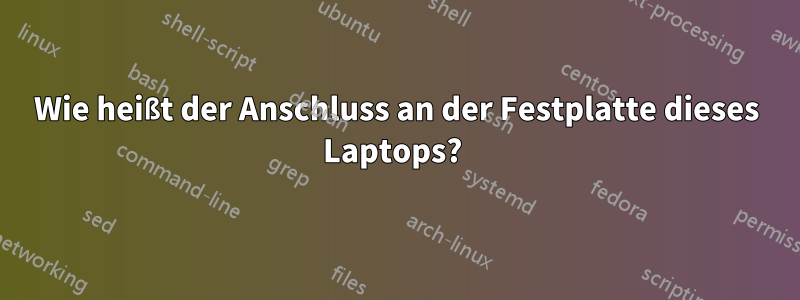 Wie heißt der Anschluss an der Festplatte dieses Laptops? 