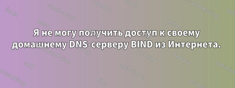 Я не могу получить доступ к своему домашнему DNS-серверу BIND из Интернета.