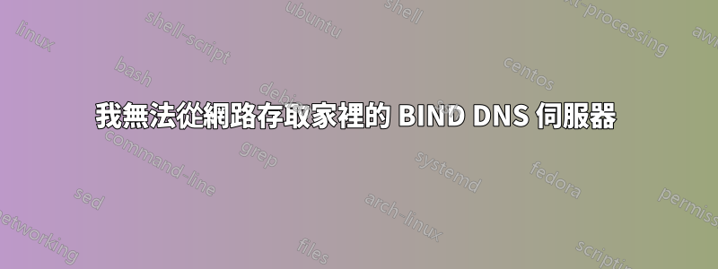 我無法從網路存取家裡的 BIND DNS 伺服器