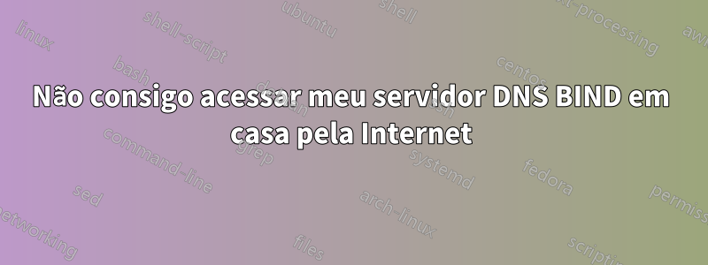 Não consigo acessar meu servidor DNS BIND em casa pela Internet