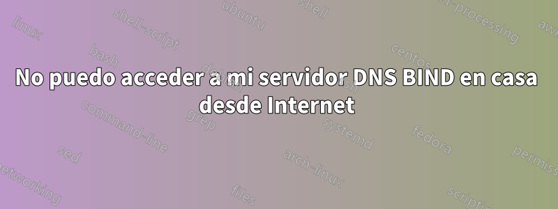 No puedo acceder a mi servidor DNS BIND en casa desde Internet