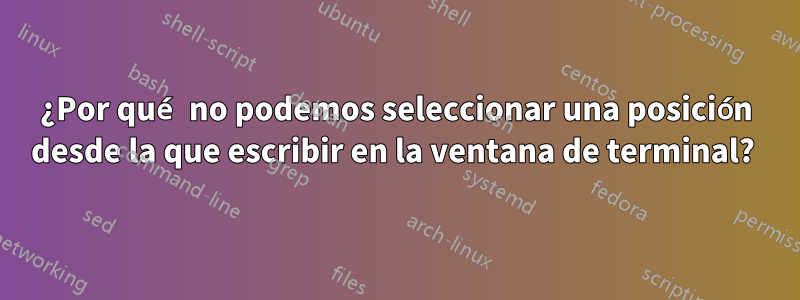 ¿Por qué no podemos seleccionar una posición desde la que escribir en la ventana de terminal? 