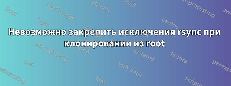 Невозможно закрепить исключения rsync при клонировании из root