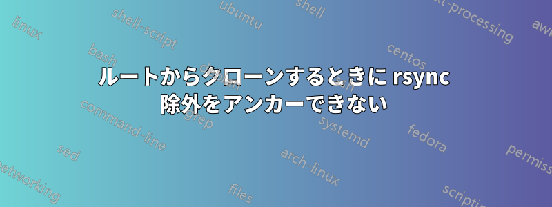 ルートからクローンするときに rsync 除外をアンカーできない