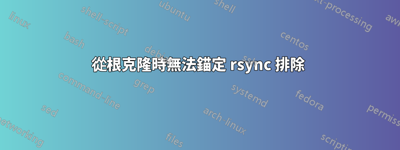 從根克隆時無法錨定 rsync 排除