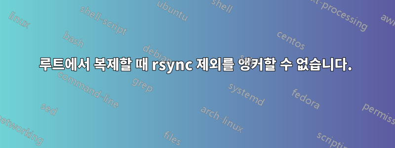 루트에서 복제할 때 rsync 제외를 앵커할 수 없습니다.