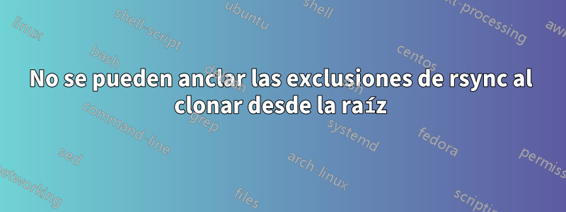 No se pueden anclar las exclusiones de rsync al clonar desde la raíz