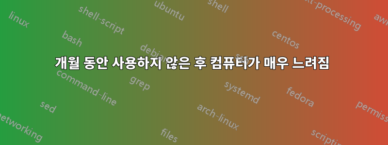 3개월 동안 사용하지 않은 후 컴퓨터가 매우 느려짐