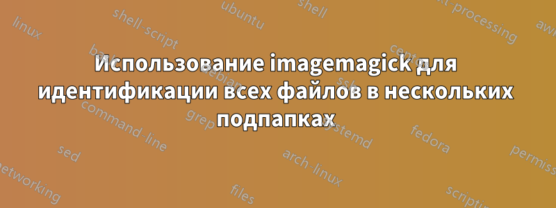 Использование imagemagick для идентификации всех файлов в нескольких подпапках