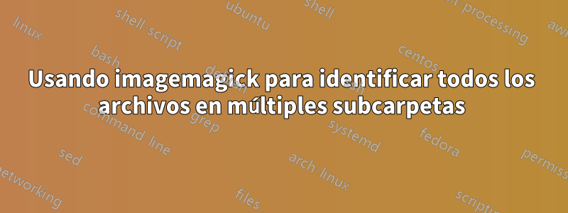 Usando imagemagick para identificar todos los archivos en múltiples subcarpetas