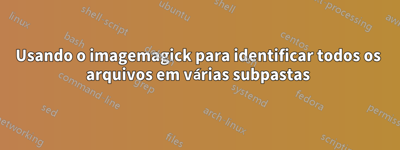 Usando o imagemagick para identificar todos os arquivos em várias subpastas